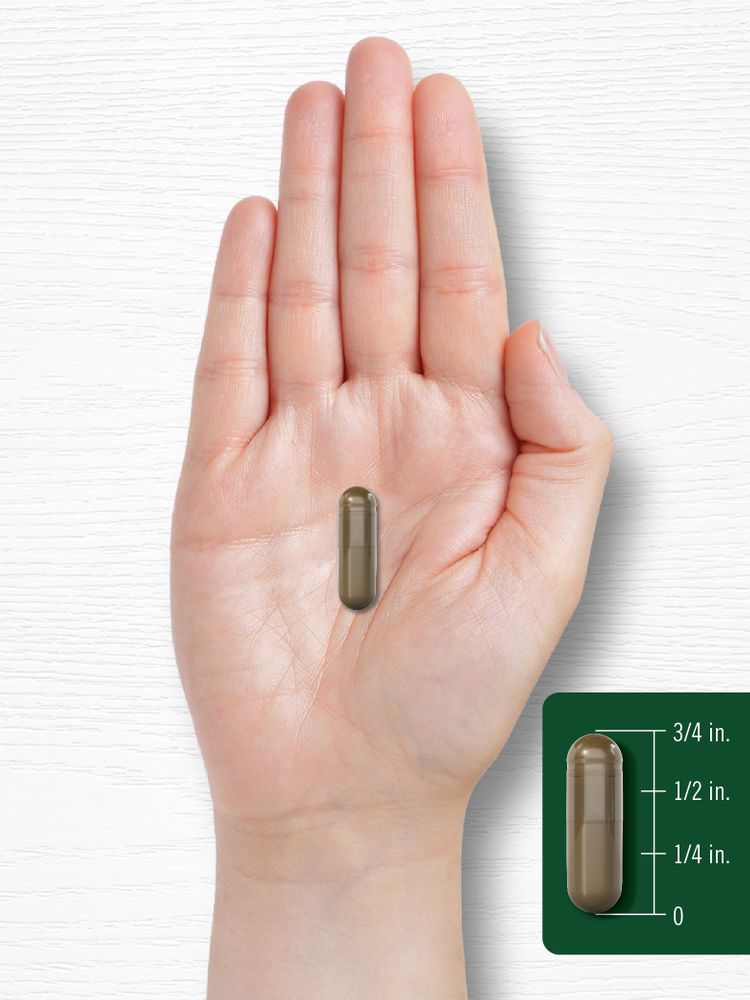 A capsule, 3/4 inch in size, rests on a hand.