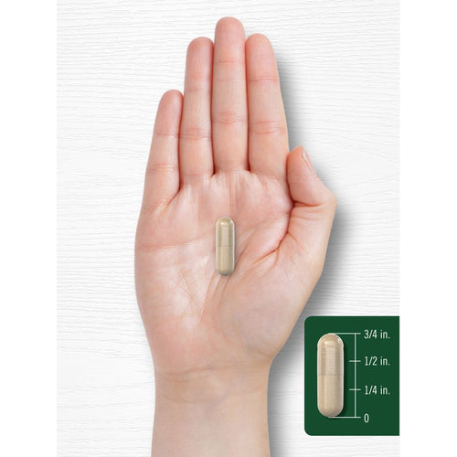 View 7 A 3/4 inch capsule displayed on a hand with a measurement scale shown in the inset.