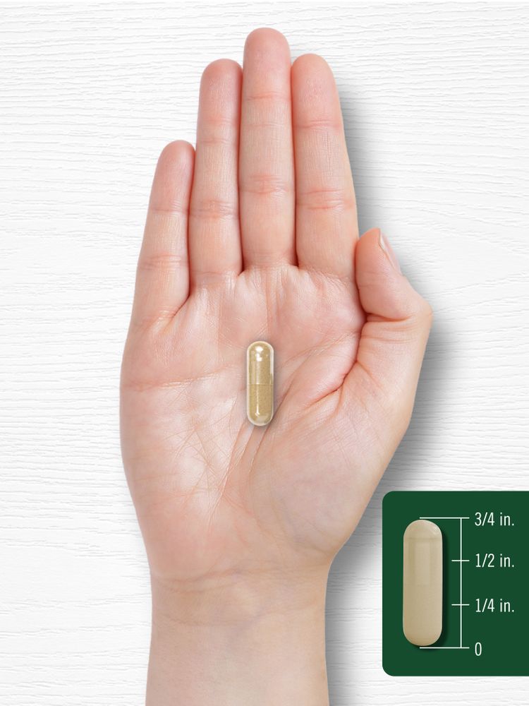 A hand holding a capsule measuring about 3/4 inch long.