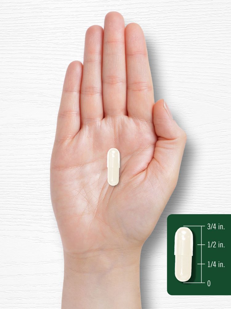 A light beige capsule rests on a hand, alongside a graphic illustrating its length as 3/4 inch.